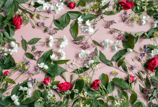 1699907 (a): :2560x1735